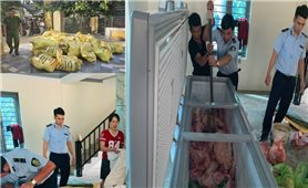 Thanh Hóa: Bắt giữ hình sự 4 đối tượng buôn bán hơn 1,6 tấn thịt lợn nhiễm dịch tả lợn châu Phi