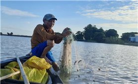 Người miền Tây đỏ mắt chờ mùa nước nổi để nhịp sống chuyển mình