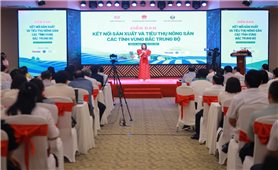 Sản xuất theo chuỗi, nâng cao giá trị nông sản vùng Bắc Trung Bộ
