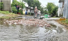 Quảng Ngãi: Nhiều tuyến đường phường Kon Tum xuống cấp nghiêm trọng