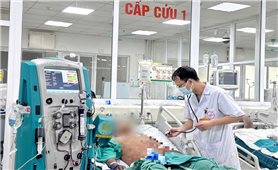 Bộ Y tế yêu cầu các địa phương tăng cường công tác phòng, chống bệnh liên cầu lợn sang người