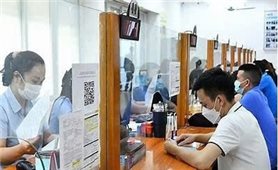 Những thủ tục hành chính bảo hiểm thất nghiệp thực hiện Online từ tháng 9/2025