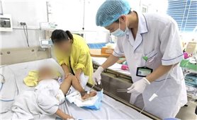 Đắp thuốc Nam lên vết mèo cào, bé trai suy đa tạng