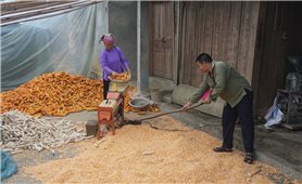 Dự án 8 góp phần thúc đẩy bình đẳng giới ở vùng cao Lào Cai