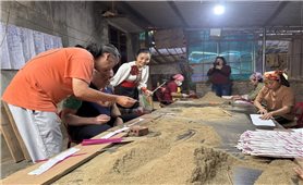 Hương trầm của cô gái dân tộc Thái đất Phủ Quỳ