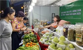 Hơn 50 doanh nghiệp, hợp tác xã tham gia Tuần hàng trái cây, nông sản 2025