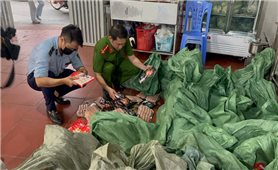Hà Nội thu giữ gần 1 tấn xúc xích, lạp xưởng không rõ nguồn gốc
