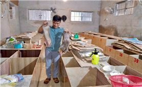 Chuyện khởi nghiệp của chàng trai người Mường: Nếu không dám làm, thì cái nghèo sẽ chẳng bao giờ buông