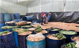 Gia Lai: Phát hiện nguyên liệu bốc mùi hôi thối tại cơ sở sản xuất lạp xưởng