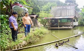 Đồng bào Cơ Tu biến đất cằn thành quả ngọt