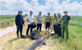 Hãy bảo vệ để những cánh chim di cư bay mãi...
