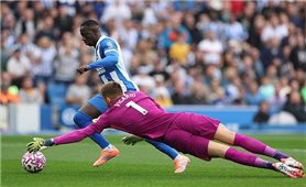 Vòng 5 Ngoại hạng Anh: Tottenham ngược dòng kịch tính cầm hòa Brighton 2-2