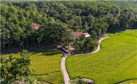Lộc Yên - Làng cổ trăm năm thức giấc giữa hiện đại