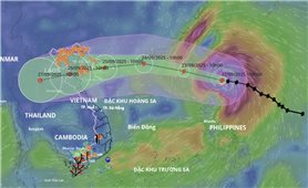 Thủ tướng yêu cầu chủ động các biện pháp ứng phó siêu bão Ragasa ở mức cao nhất