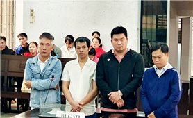 Đắk Lắk: Xét xử nhóm đối tượng sử dụng chất độc hại sản xuất giá đỗ