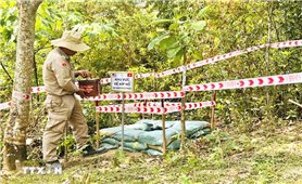 Chủ tịch nước Lương Cường: Câu chuyện hàn gắn, hòa giải giữa Việt Nam và Hoa Kỳ là bằng chứng về sức mạnh của lòng bao dung