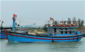 Quảng Ngãi khẩn trương ứng phó siêu bão Ragasa
