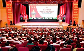 Gia Lai: Biểu dương, tôn vinh nhân tố tiêu biểu từ phong trào thi đua yêu nước giai đoạn 2020 - 2025