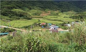 Quảng Ngãi: Xuất hiện vết nứt dài gần 200m trên đỉnh đồi, xã biên giới Đăk Plô sơ tán khẩn 12 hộ dân