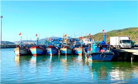 Gia Lai kêu gọi tàu thuyền về nơi an toàn tránh bão Bualoi