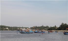 Quảng Ngãi cấm tàu thuyền ra biển từ chiều 27/9, khẩn trương triển khai ứng phó bão số 10