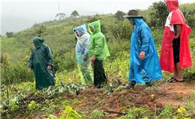 Quảng Ngãi: UBND xã Đăk Plô thăm hỏi, động viên các hộ dân di dời khỏi vùng có nguy cơ sạt lở
