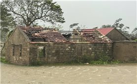 Bão số 10 quần thảo nhiều giờ, Nghệ An “nát tươm”