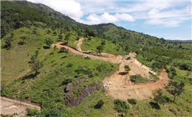 Vụ tự ý san ủi 