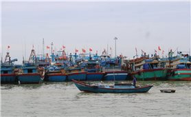 Gia Lai một tàu cá với 8 lao động bị mất liên lạc do ảnh hưởng của bão số 10