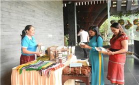 Khơi dậy tinh thần “tiên phong thay đổi” của phụ nữ DTTS từ Dự án 8