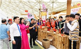 Triển lãm thành tựu đất nước 80 năm: Gần 4 triệu lượt khách tham quan trong 6 ngày mở cửa
