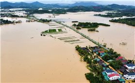 1000 điểm có nguy cơ xảy ra lũ quét, sạt lở đất sau bão số 10