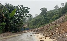 Khẩn trương khắc phục hậu quả sau bão số 10