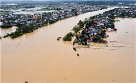 Bão số 10 (Bualoi) tàn phá hàng trăm nghìn ngôi nhà, hơn 100 người thương vong và mất tích