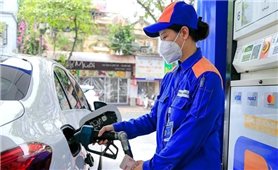 Giá xăng trong nước tiếp tục tăng, tiến sát mốc 20.500 đồng/lít