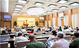 Sửa đổi toàn diện, cắt giảm gần 100 điều của Luật Hàng không dân dụng Việt Nam
