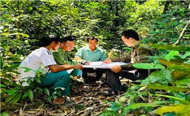 Người dân Canh Liên có thu nhập ổn định nhờ nhận giao khoán rừng