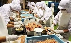 Mực in từ hoa đậu biếc phát hiện thực phẩm hỏng với độ chính xác trên 98%