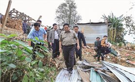 Mệnh lệnh từ trái tim