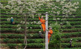 Lời chào năm mới từ những người giữ dòng điện miền Bắc