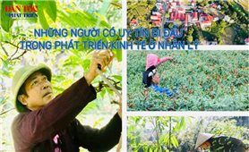 Những Người có uy tín đi đầu trong phát triển kinh tế ở Nhân Lý