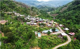 Quảng Ngãi: Khảo sát phương án cấp điện cho 238 hộ đồng bào DTTS thôn Tu Thôn