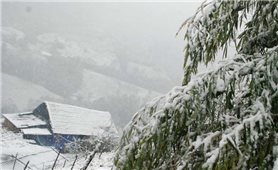 Các địa phương chủ động ứng phó rét đậm, rét hại và gió mạnh trên biển