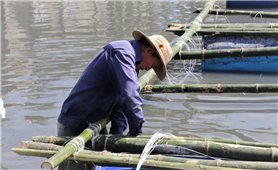 Ngư dân Đắk Lắk tất bật những chuyến đi biển mới