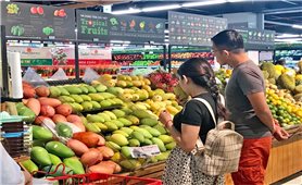 Xuất khẩu rau quả Việt Nam tăng trưởng mạnh mẽ