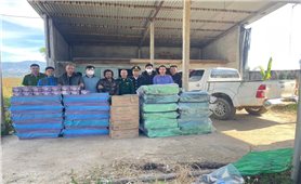 Quảng Ngãi: Bắt quả tang hai đối tượng dùng xe bán tải vận chuyển hơn 2 tấn pháo lậu