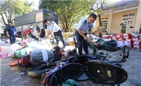 Gia Lai tiêu hủy gần 28.000 sản phẩm, hàng hóa vi phạm