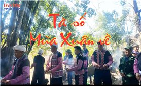 Tà Số - Mùa Xuân về