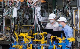 Năm 2025, tăng trưởng GDP đạt 8,02%