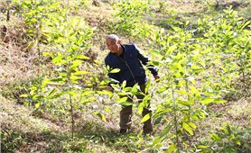 Thiện Thuật (Lạng Sơn): Đổi thay từ Chương trình mục tiêu quốc gia giảm nghèo bền vững